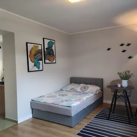 Homestay Dom Goscinny Panorama *